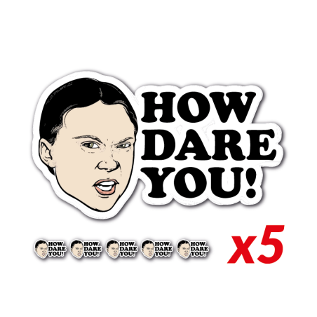 5 autocollants "How dare you ? - Greta