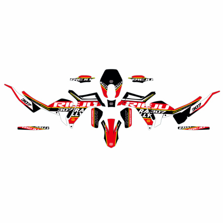 Grafiche moto Rieju Rally 307 | Kit adesivi Personalizzati