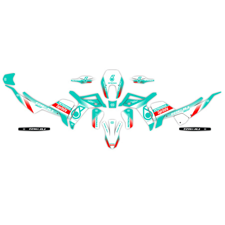 Grafiche moto Rieju Rally 307 | Kit adesivi Personalizzati