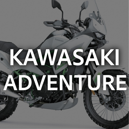 Graphiques personnalisés Kawasaki - acheter en ligne