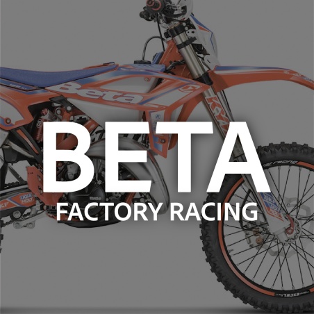 Beta Racing (oltre 125 cc)